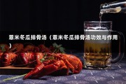 薏米冬瓜排骨汤（薏米冬瓜排骨汤功效与作用）