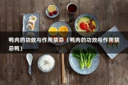 鸭肉的功效与作用禁忌（鸭肉的功效与作用禁忌鸭）