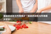 柴胡的功效与作用图片（柴胡的功效与作用图片欣赏）