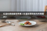 红豆杉的功效与作用（红豆杉的功效与作用图片）