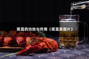 茼蒿的功效与作用（茼蒿菜图片）