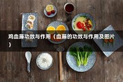 鸡血藤功效与作用（血藤的功效与作用及图片）