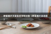 野菜图片大全及名字和功效（野菜图片及名称）