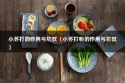 小苏打的作用与功效（小苏打粉的作用与功效）