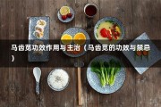 马齿苋功效作用与主治（马齿苋的功效与禁忌）