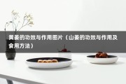 黄姜的功效与作用图片（山姜的功效与作用及食用方法）