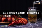 电饼铛外壳摔破了如何修复（电饼铛壳子裂缝了怎么办）