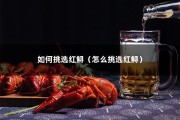 如何挑选红鲟（怎么挑选红鲟）