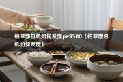 柏翠面包机如何发面pe9500（柏翠面包机如何发面）