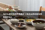 马兰头的功效与作用图片（马兰头的功效与作用是什么）