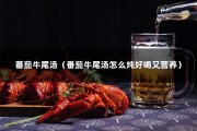 蕃茄牛尾汤（番茄牛尾汤怎么炖好喝又营养）