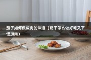 茄子如何做成肉的味道（茄子怎么做好吃又下饭加肉）