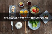 川牛膝的功效与作用（怀牛膝的功效与作用）