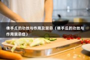 佛手瓜的功效与作用及禁忌（佛手瓜的功效与作用禁忌症）