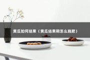 黄瓜如何结果（黄瓜结果期怎么施肥）