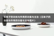 五味子的功效与作用的功能与主治（五味子的功效与作用的功能与主治图片）