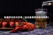 胎菊的功效与作用（金丝皇菊的功效与作用）