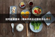 如何破解糯米（糯米手机忘记密码怎么办）