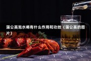 蒲公英泡水喝有什么作用和功效（蒲公英的图片）