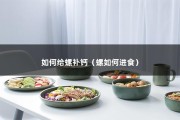 如何给螺补钙（螺如何进食）