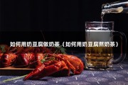 如何用奶豆腐做奶茶（如何用奶豆腐熬奶茶）