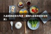 九层塔的功效与作用（植物九层塔的功效与作用）