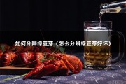 如何分辨绿豆芽（怎么分辨绿豆芽好坏）