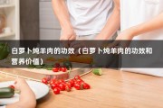 白萝卜炖羊肉的功效（白萝卜炖羊肉的功效和营养价值）