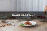 黄金鱼汤（黄金鱼汤exo）