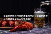 韭菜的功效与作用的功能与主治（韭菜的功效与作用的功能与主治及用量）