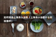 如何挑选上海青小油菜（上海青小油菜什么时候播种）